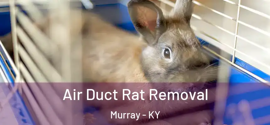 Air Duct Rat Removal Murray - KY