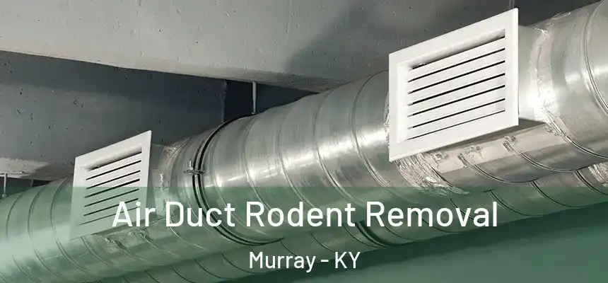  Air Duct Rodent Removal Murray - KY