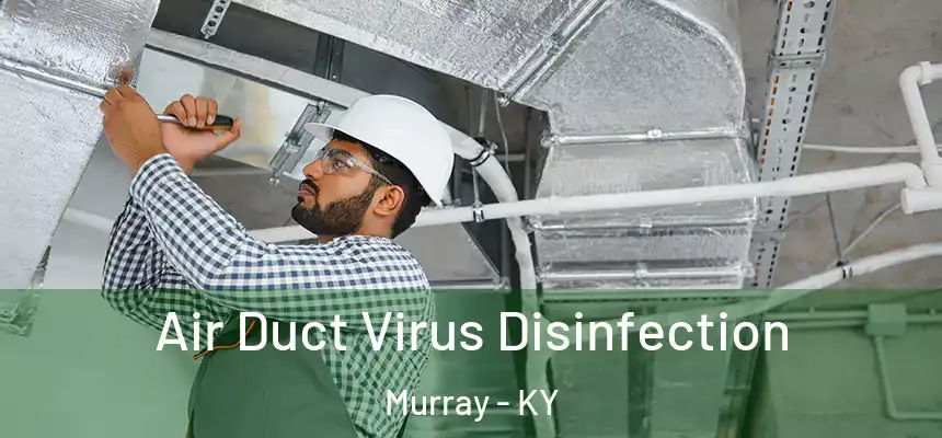  Air Duct Virus Disinfection Murray - KY