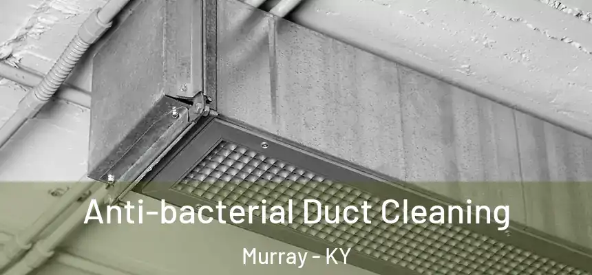  Anti-bacterial Duct Cleaning Murray - KY