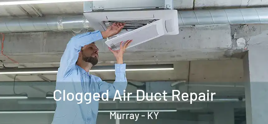 Clogged Air Duct Repair Murray - KY