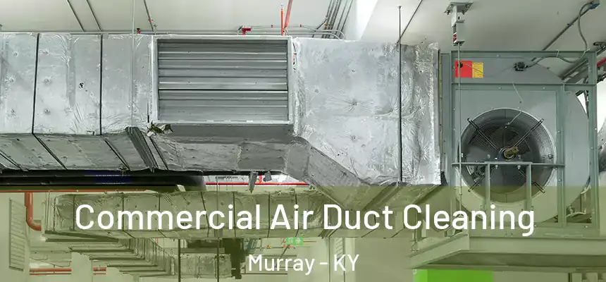  Commercial Air Duct Cleaning Murray - KY