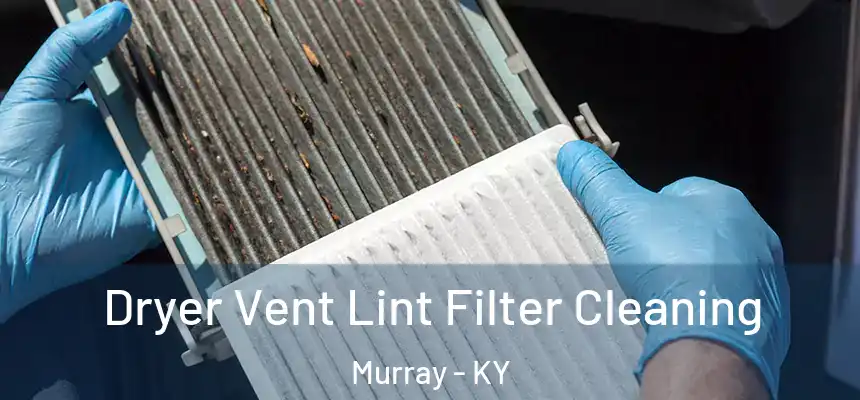  Dryer Vent Lint Filter Cleaning Murray - KY