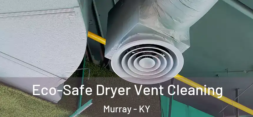 Eco-Safe Dryer Vent Cleaning Murray - KY
