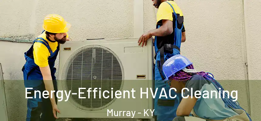  Energy-Efficient HVAC Cleaning Murray - KY