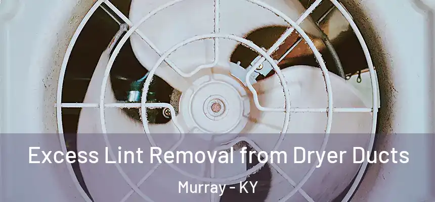 Excess Lint Removal from Dryer Ducts Murray - KY