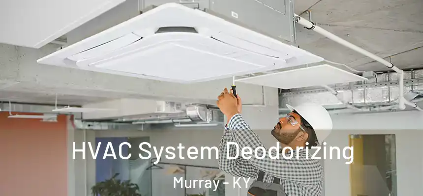 HVAC System Deodorizing Murray - KY