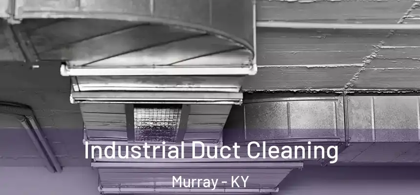  Industrial Duct Cleaning Murray - KY