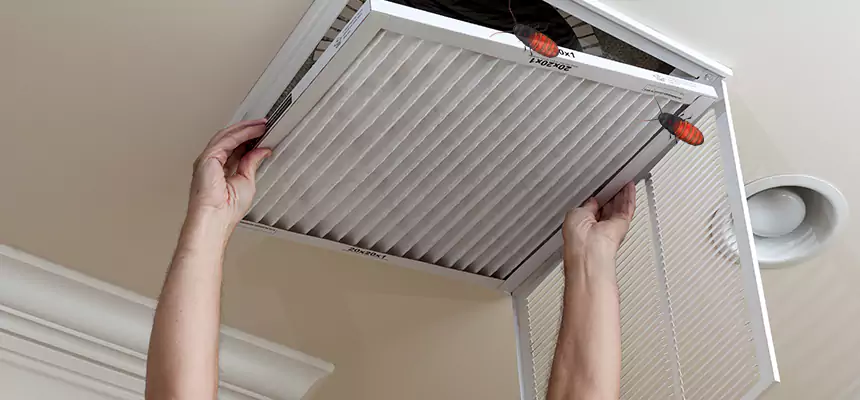 Preventive Cockroach-Proofing for Ducts in Murray