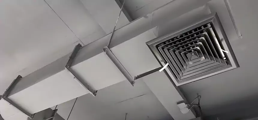 Our Pest Removal From Ducts Services in Murray, KY