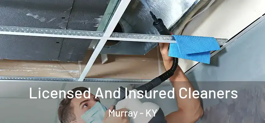  Licensed And Insured Cleaners Murray - KY