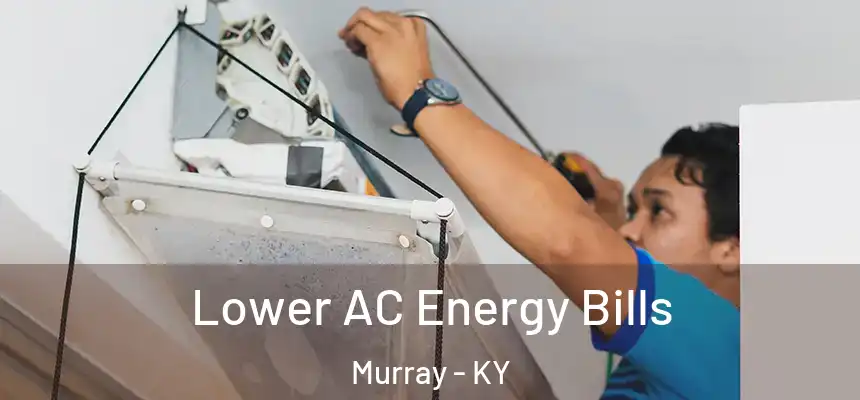  Lower AC Energy Bills Murray - KY