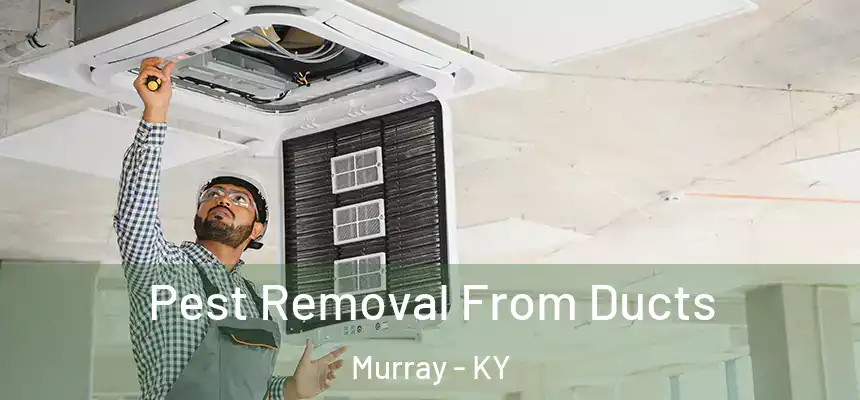 Pest Removal From Ducts Murray - KY