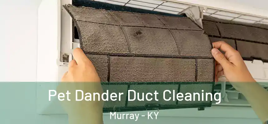  Pet Dander Duct Cleaning Murray - KY