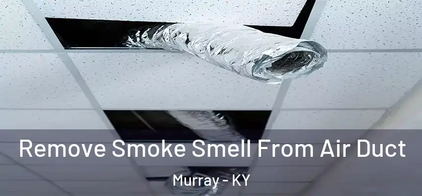 Remove Smoke Smell From Air Duct Murray - KY