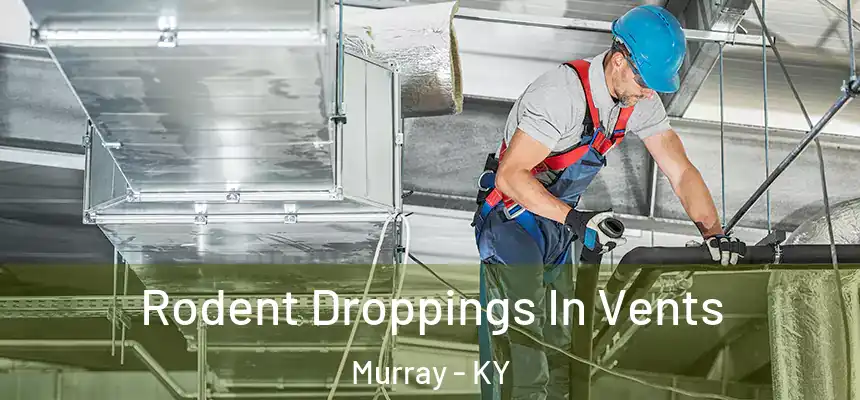  Rodent Droppings In Vents Murray - KY