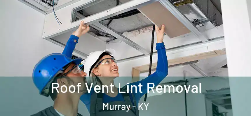 Roof Vent Lint Removal Murray - KY