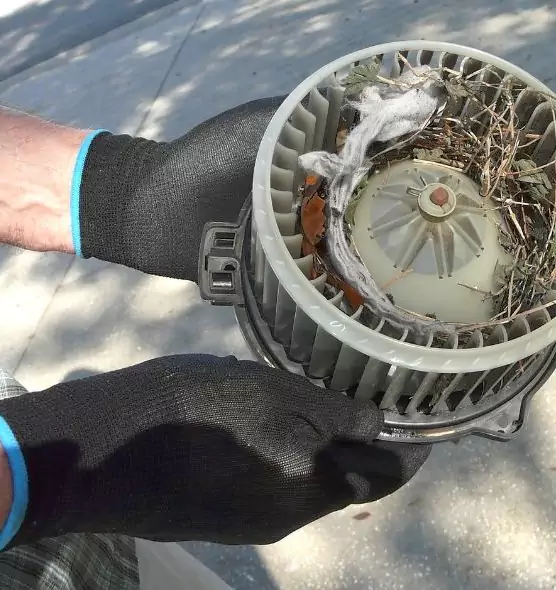 About Air Duct Rat Removal in Murray, KY