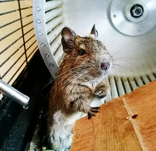 Why Homeowners & Businesses Trust Us Murray, KY