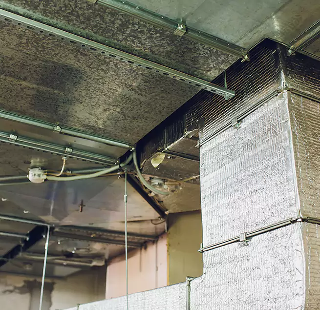 Why Homeowners & Businesses Trust Us in Murray, KY?