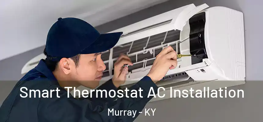 Smart Thermostat AC Installation Murray - KY