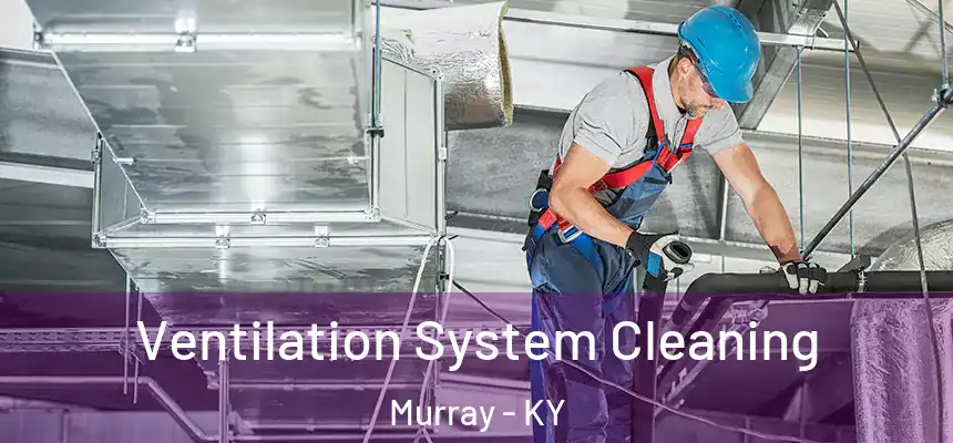 Ventilation System Cleaning Murray - KY